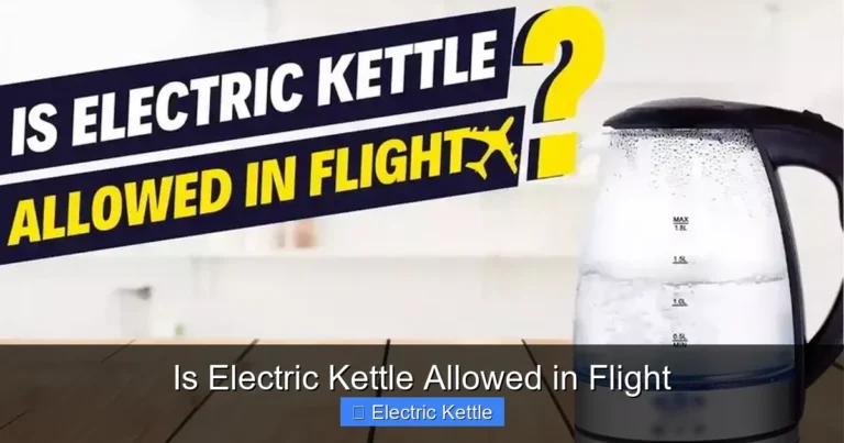Is Electric Kettle Allowed in Flight