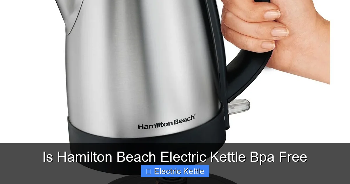 Is Hamilton Beach Electric Kettle Bpa Free