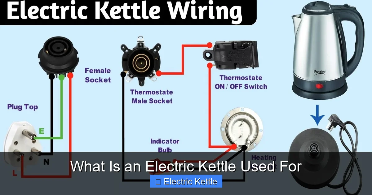 What Is an Electric Kettle Used For