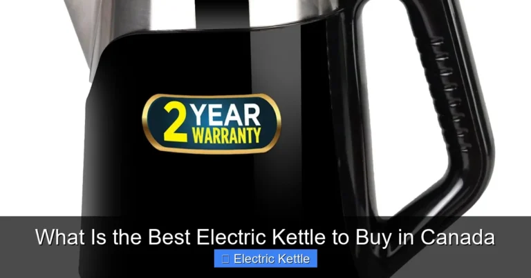 What Is the Best Electric Kettle to Buy in Canada