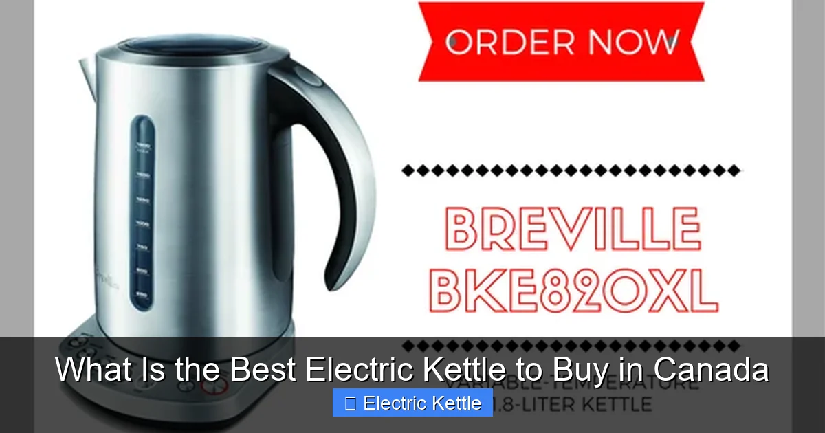 What Is the Best Electric Kettle to Buy in Canada
