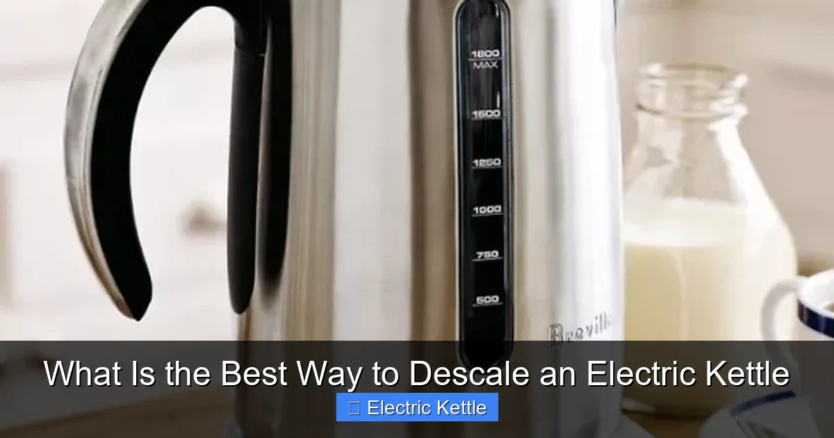 What Is the Best Way to Descale an Electric Kettle