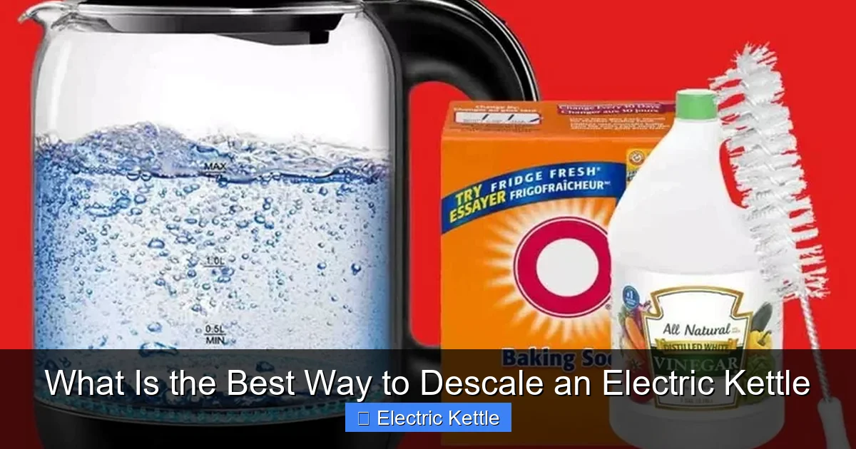 What Is the Best Way to Descale an Electric Kettle