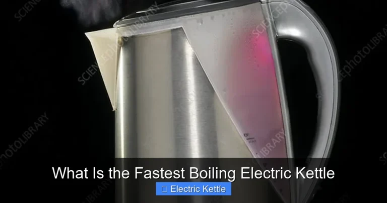 What Is the Fastest Boiling Electric Kettle