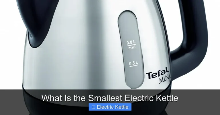 What Is the Smallest Electric Kettle