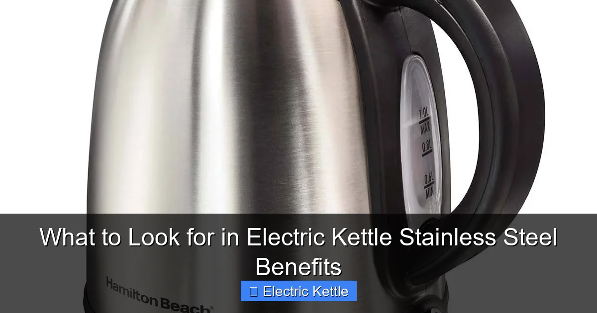 What to Look for in Electric Kettle Stainless Steel Benefits