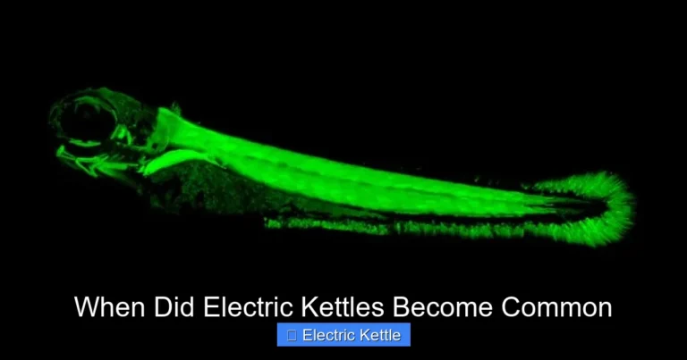 When Did Electric Kettles Become Common