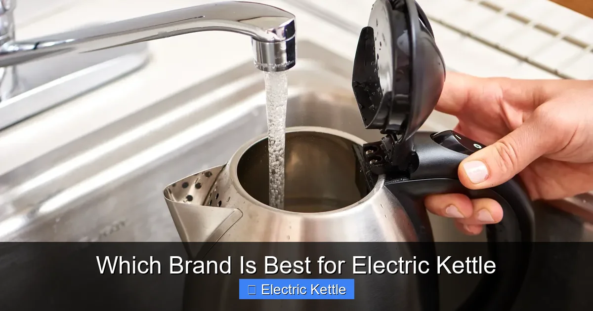 Which Brand Is Best for Electric Kettle