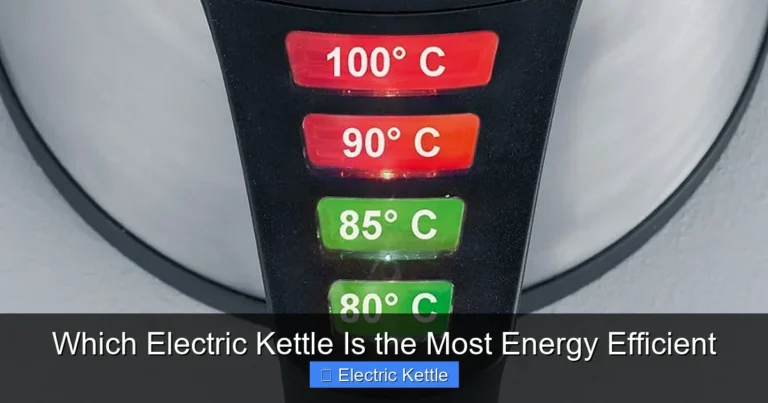 Which Electric Kettle Is the Most Energy Efficient