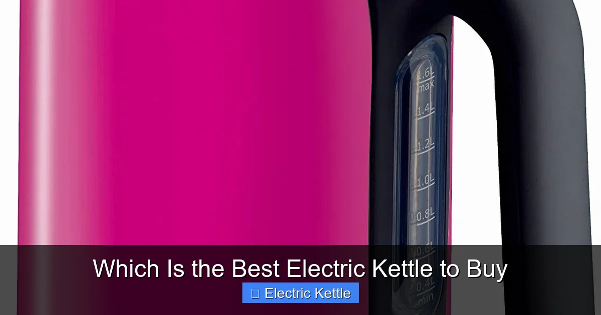 Which Is the Best Electric Kettle to Buy