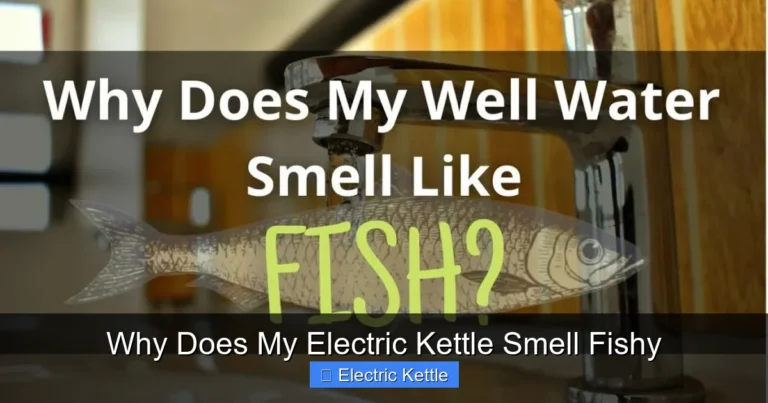 Why Does My Electric Kettle Smell Fishy