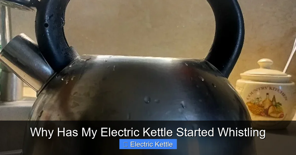 Why Has My Electric Kettle Started Whistling