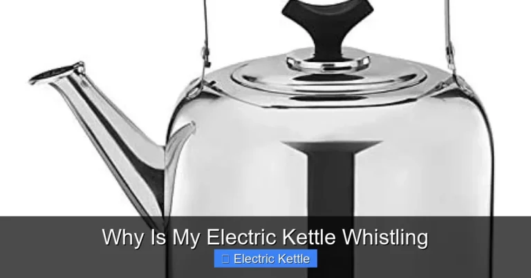Why Is My Electric Kettle Whistling