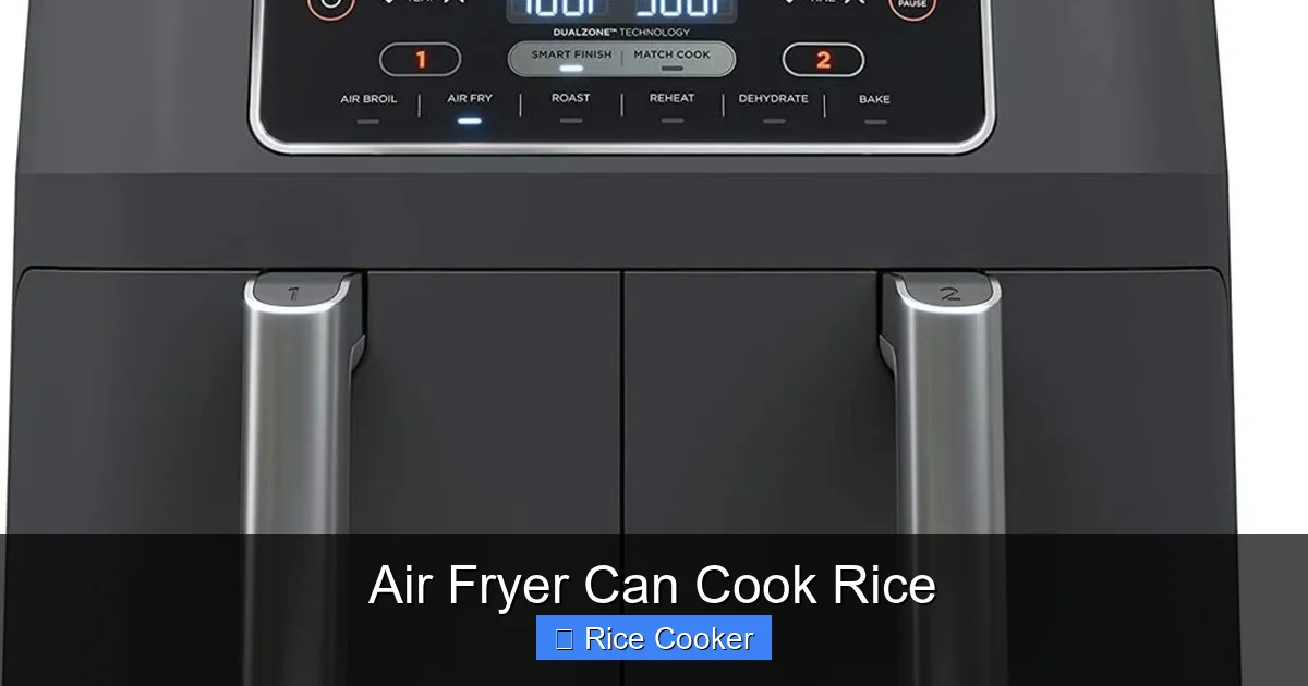 Air Fryer Can Cook Rice