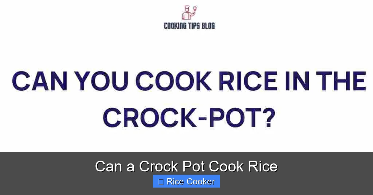 Can a Crock Pot Cook Rice