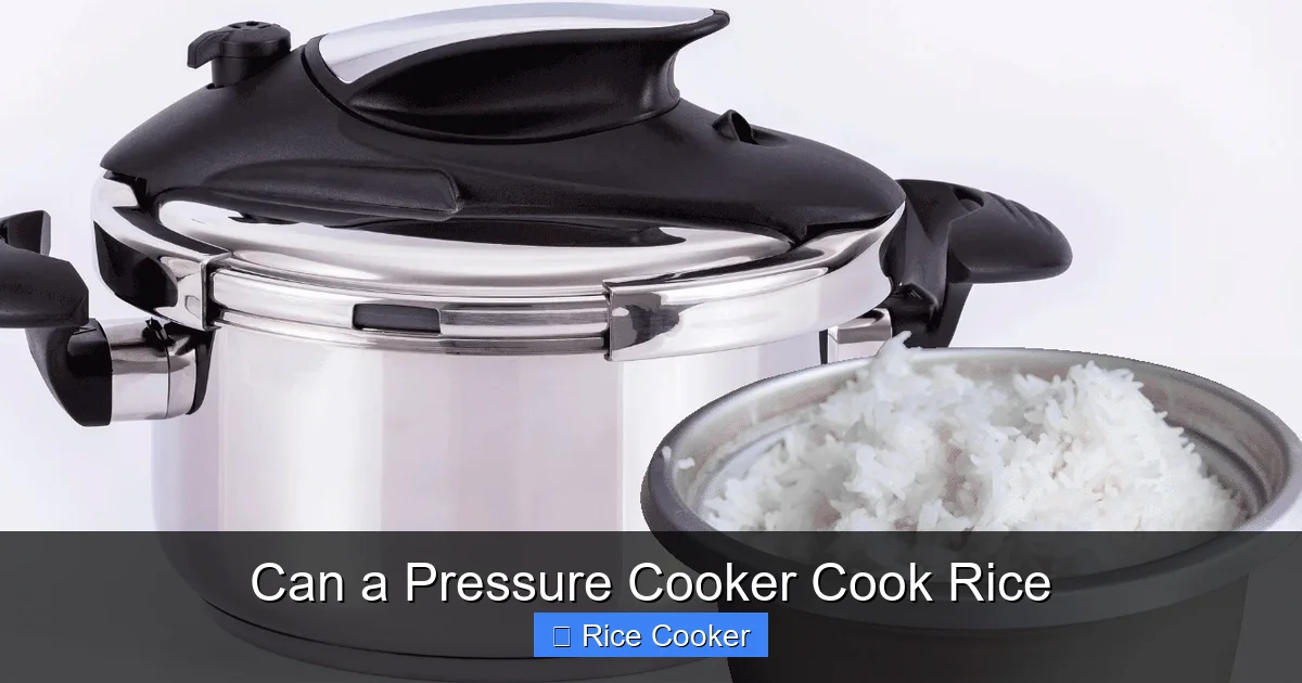 Can a Pressure Cooker Cook Rice