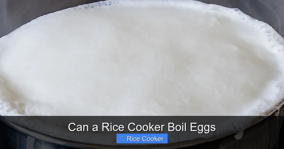 Can a Rice Cooker Boil Eggs