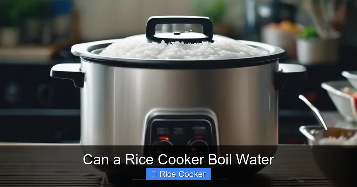 Can a Rice Cooker Boil Water