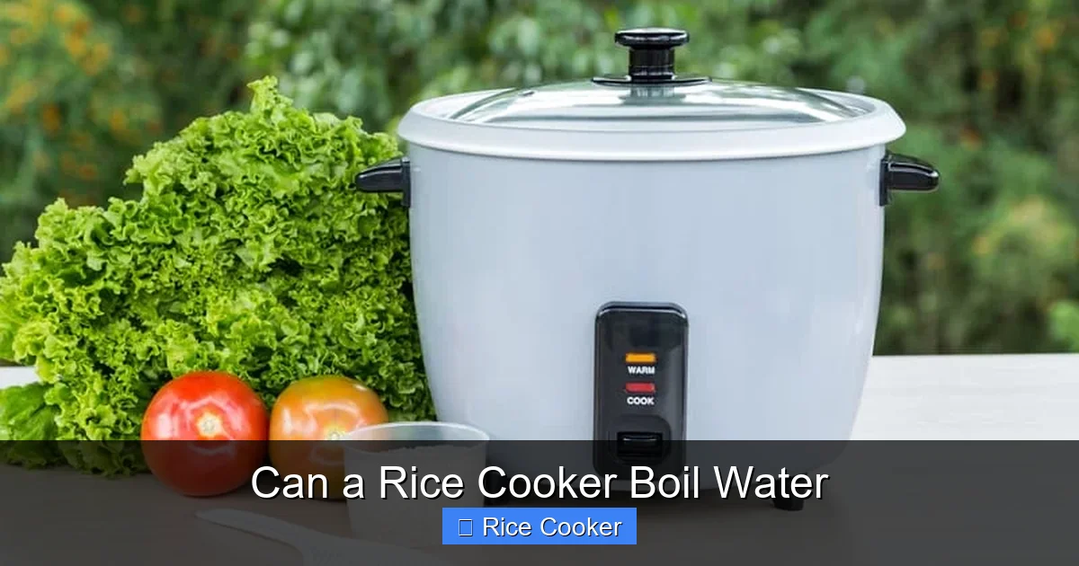 Can a Rice Cooker Boil Water