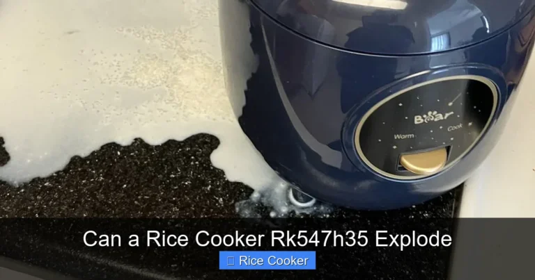 Can a Rice Cooker Rk547h35 Explode