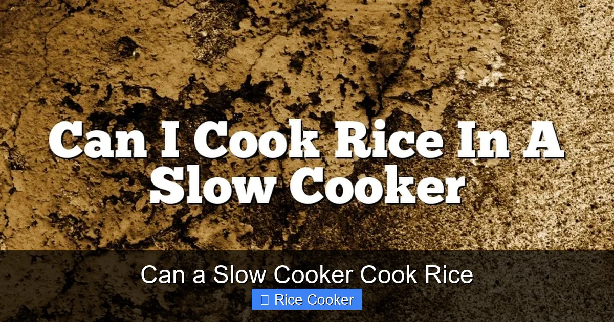 Can a Slow Cooker Cook Rice