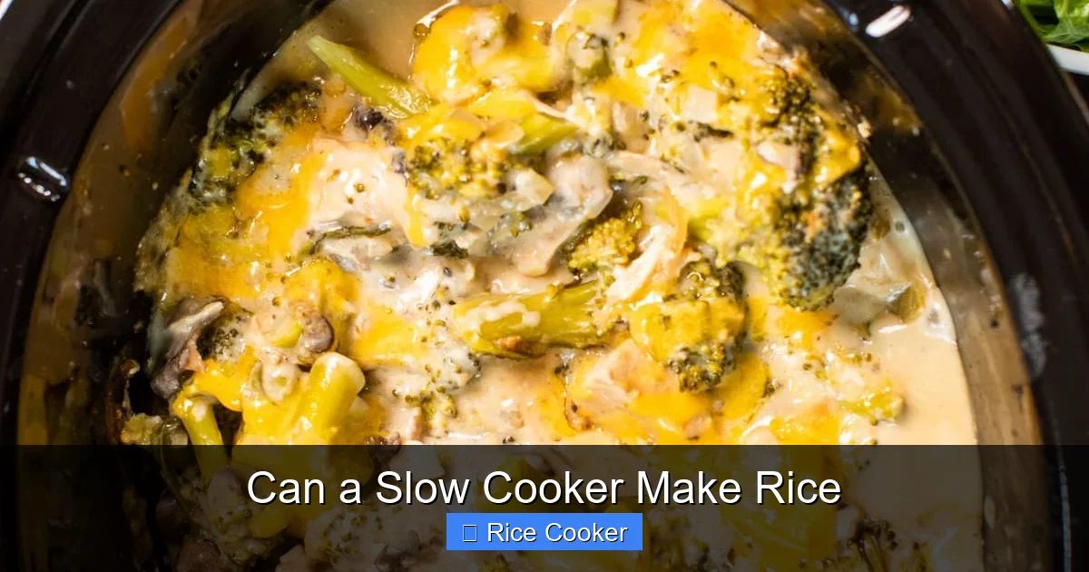 Can a Slow Cooker Make Rice