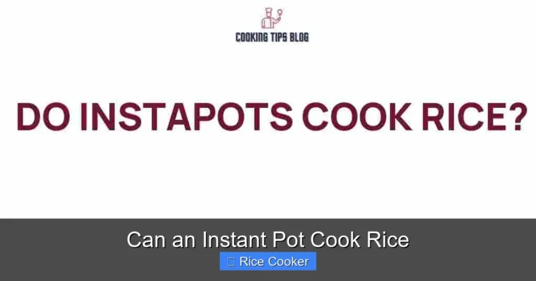 Can an Instant Pot Cook Rice
