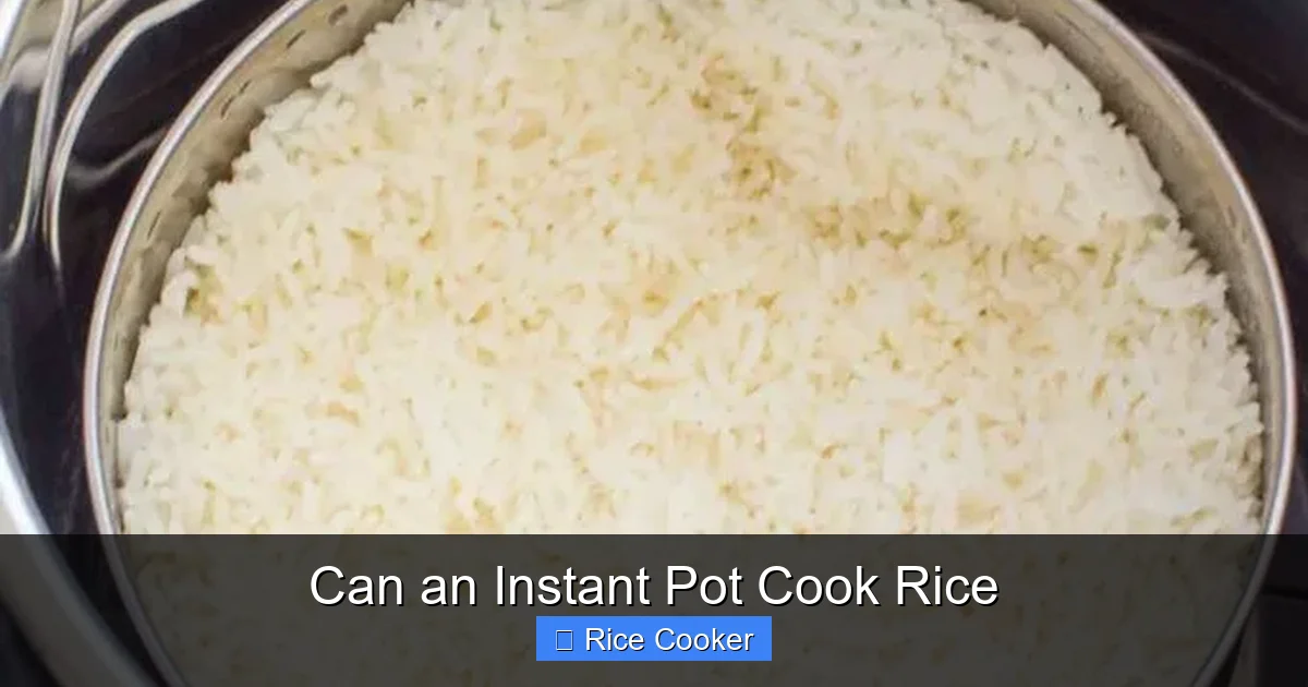 Can an Instant Pot Cook Rice