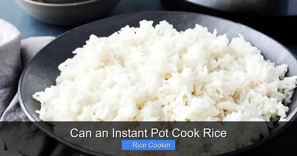 Can an Instant Pot Cook Rice