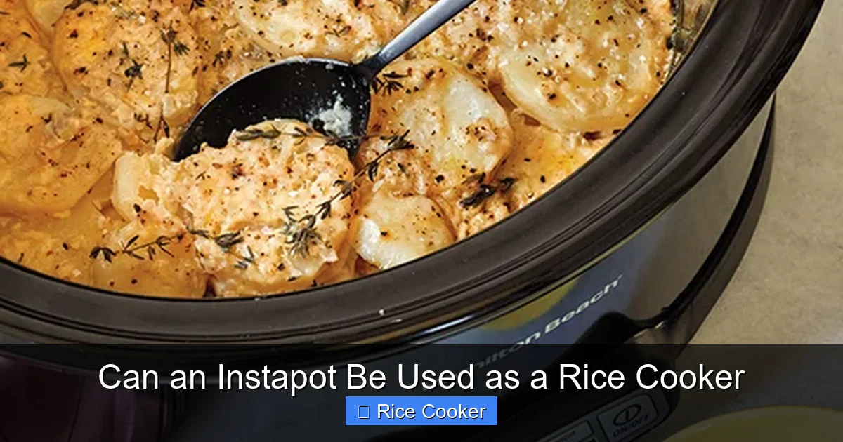 Can an Instapot Be Used as a Rice Cooker