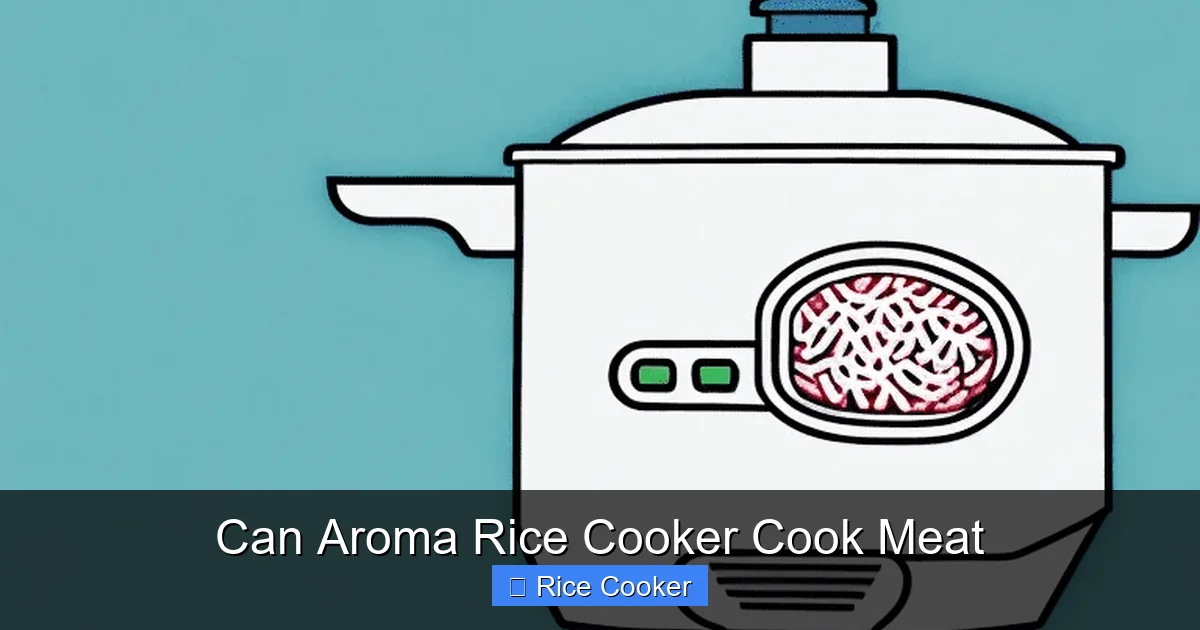 Can Aroma Rice Cooker Cook Meat