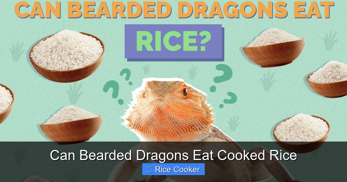 Can Bearded Dragons Eat Cooked Rice