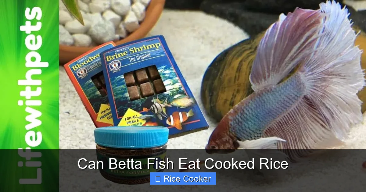 Can Betta Fish Eat Cooked Rice