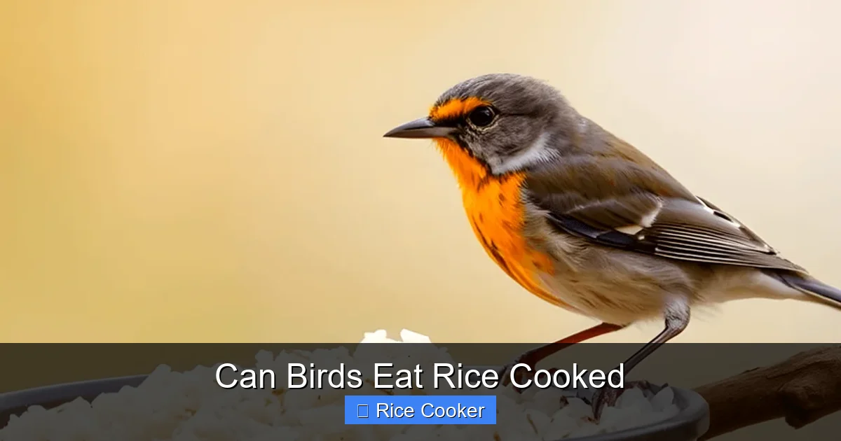 Can Birds Eat Rice Cooked