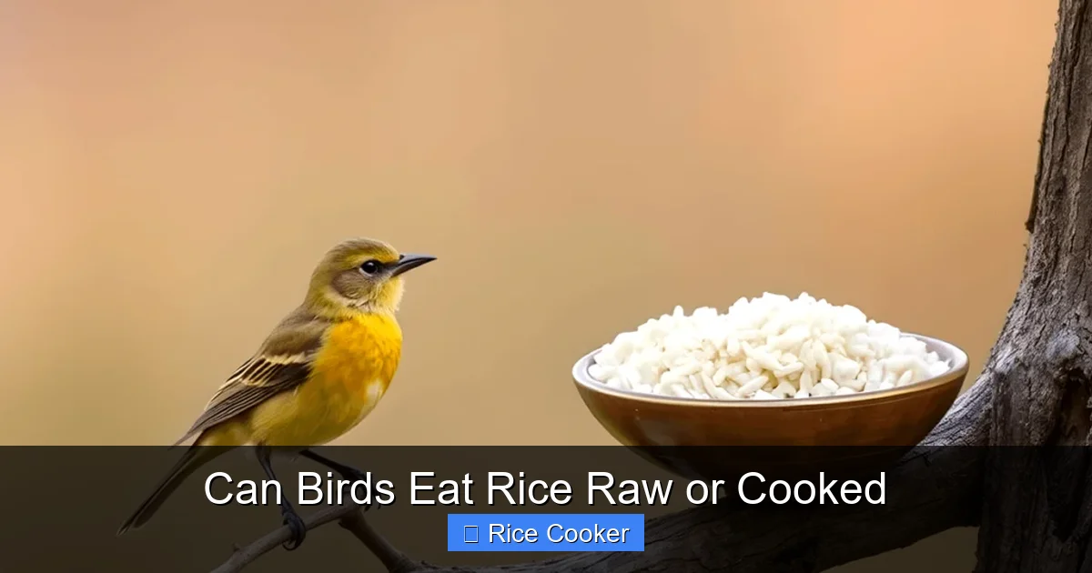 Can Birds Eat Rice Raw or Cooked