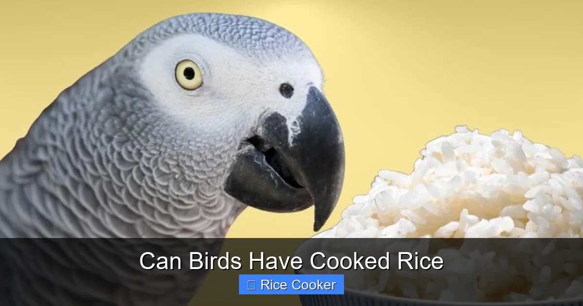 Can Birds Have Cooked Rice