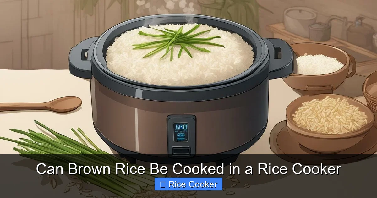 Can Brown Rice Be Cooked in a Rice Cooker