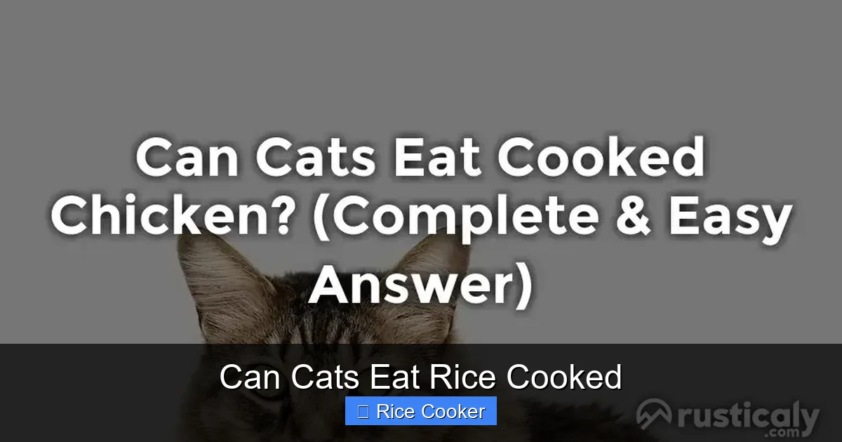 Can Cats Eat Rice Cooked