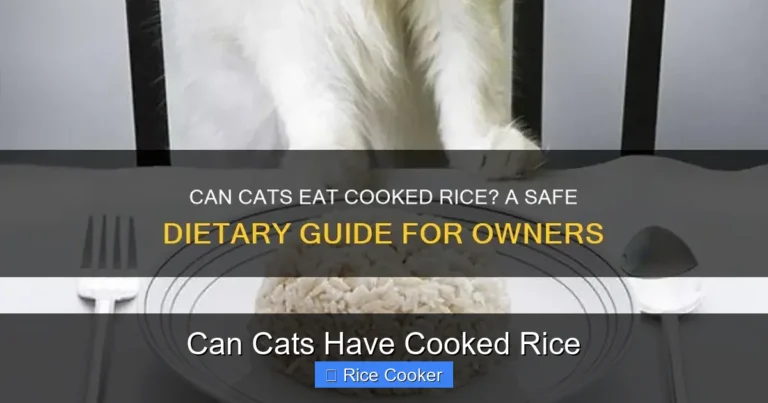 Can Cats Have Cooked Rice
