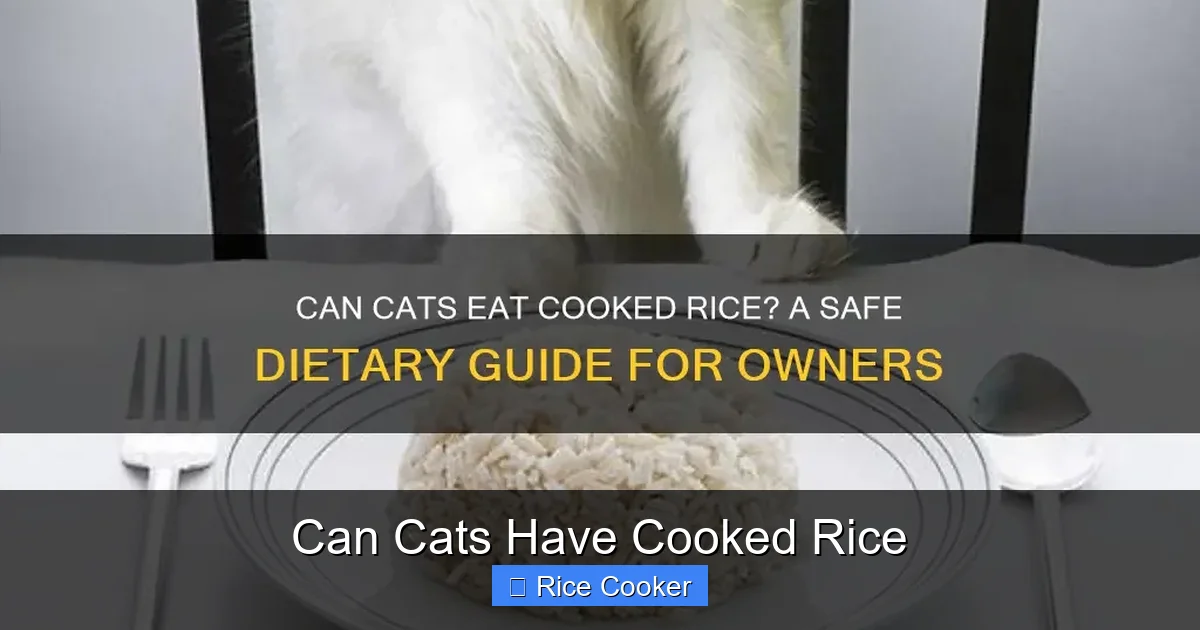 Can Cats Have Cooked Rice