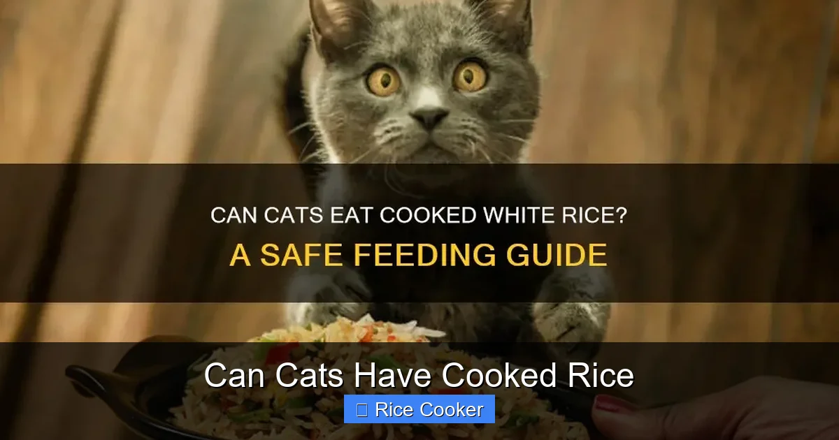 Can Cats Have Cooked Rice