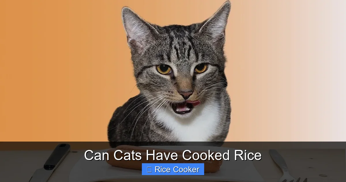 Can Cats Have Cooked Rice