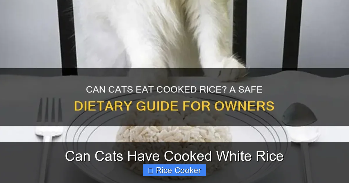 Can Cats Have Cooked White Rice