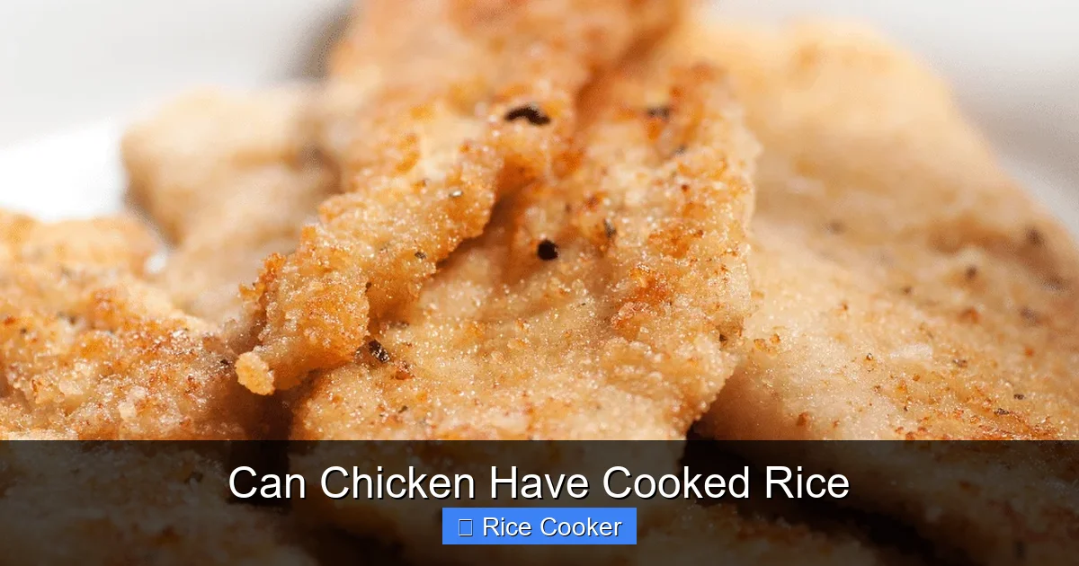 Can Chicken Have Cooked Rice