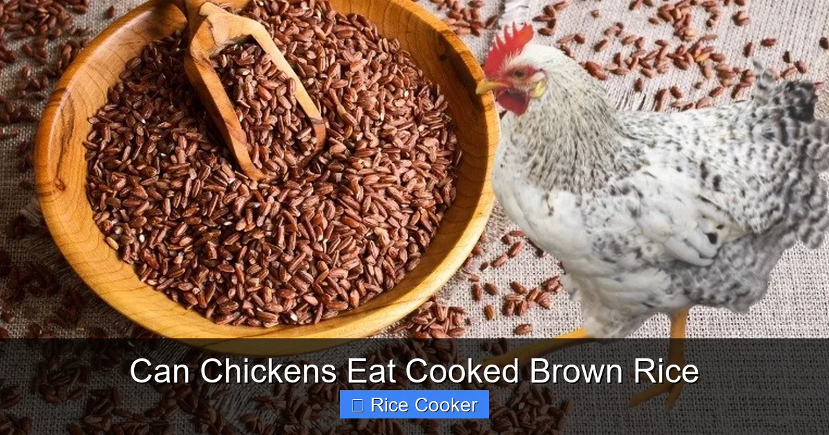 Can Chickens Eat Cooked Brown Rice