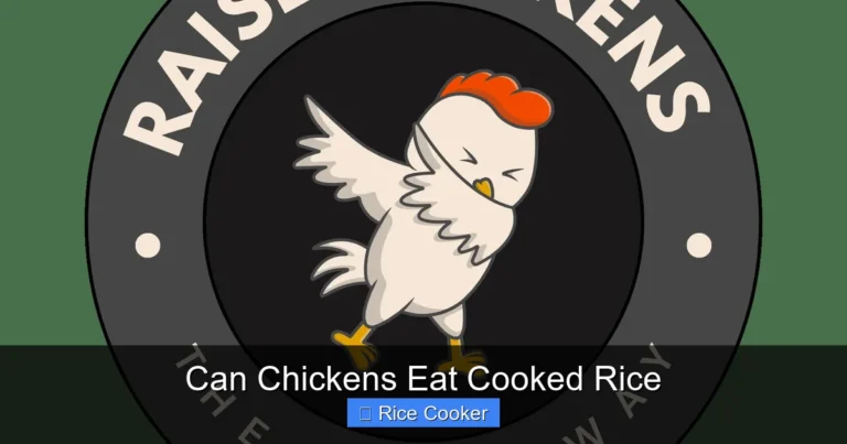 Can Chickens Eat Cooked Rice