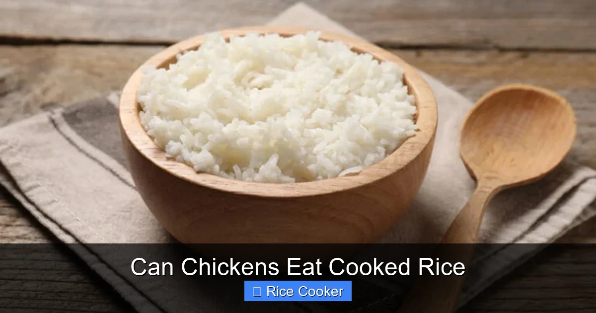 Can Chickens Eat Cooked Rice