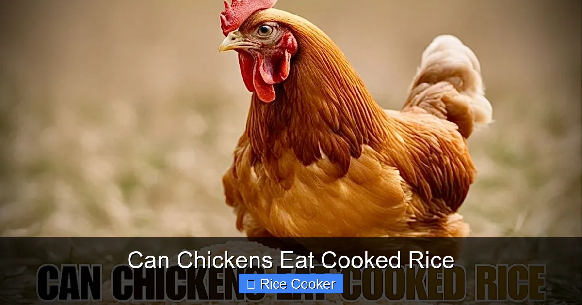 Can Chickens Eat Cooked Rice
