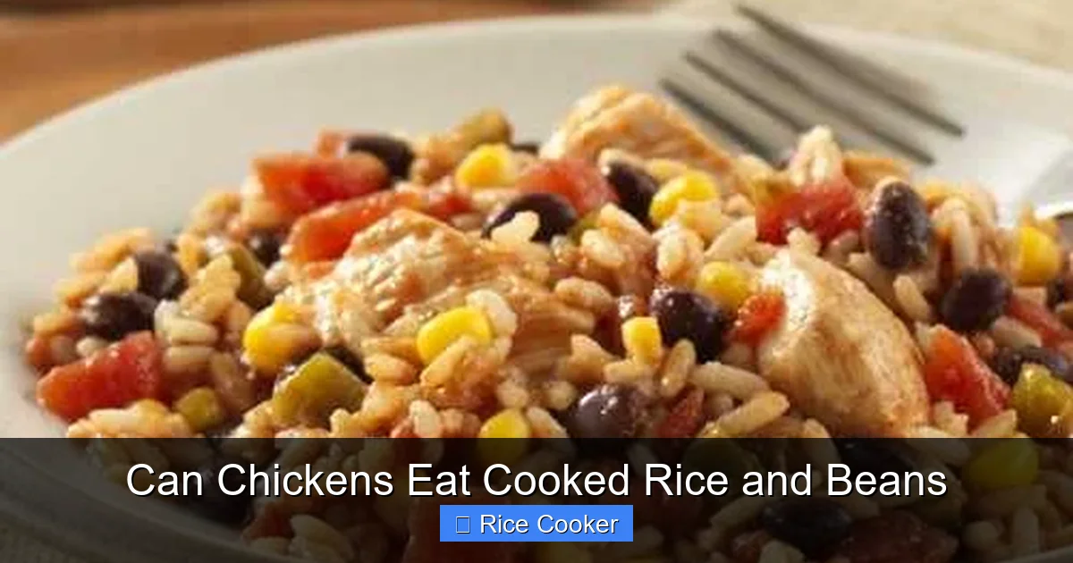 Can Chickens Eat Cooked Rice and Beans