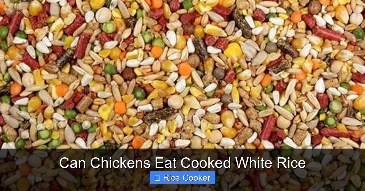 Can Chickens Eat Cooked White Rice